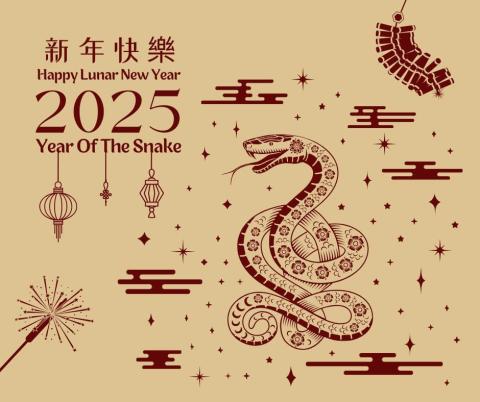 寧士全體員工祝各位2025新年快樂！蛇年行大運！